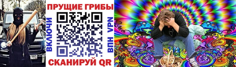 Псилоцибиновые грибы мицелий  Вольск 